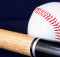 baseball softball bat